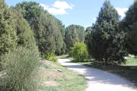 Itinerario Botánico en el Parque de la Isla con Alberto González