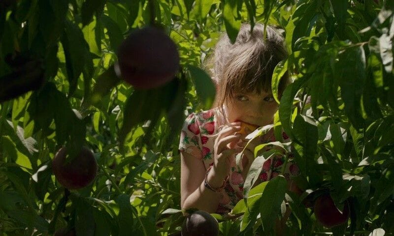 Proyección de la película 'Alcarràs' de Carla Simón