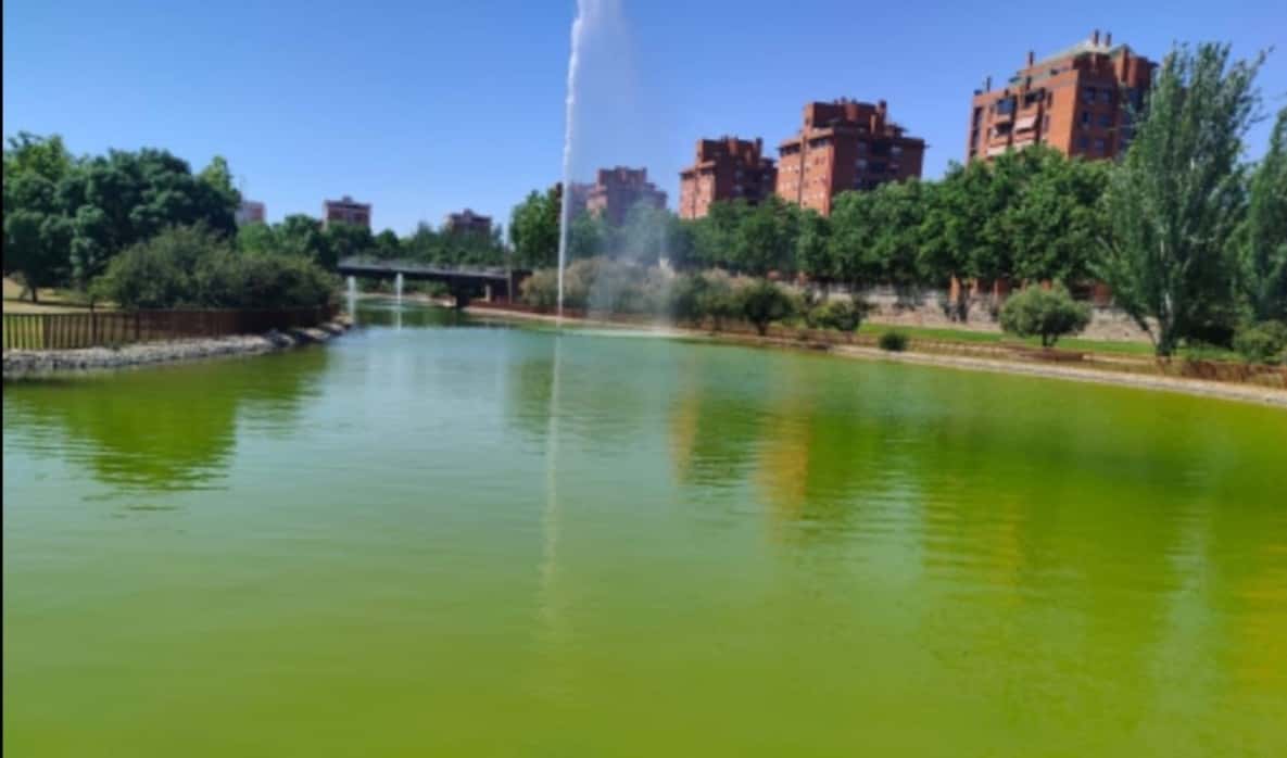 Exposición 'Nuestro Barrio, Loranca'