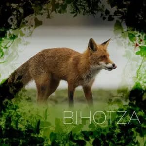 Bihotza, la vida en Álava como nunca la habías visto