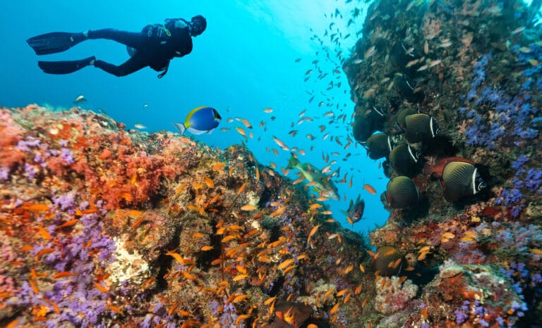 Conservaci贸n de la biodiversidad marina