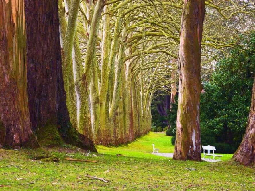 Taller para adultos: Relajación en la naturaleza