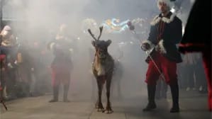 Desfile Navideño