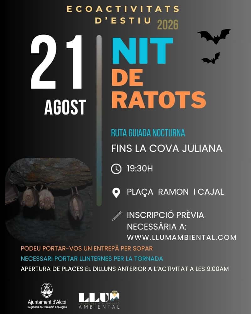Noche de murciélagos - Visitas guiadas nocturnas hasta la cova juliana