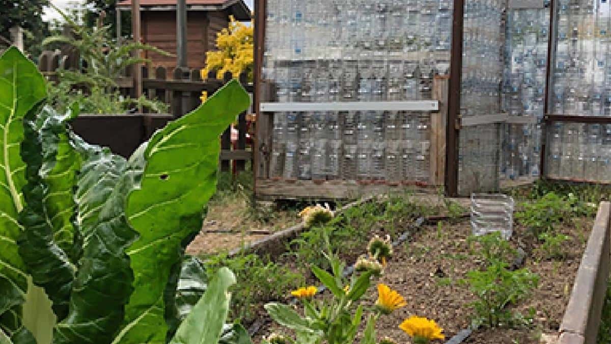 Talleres familiares de educación ambiental