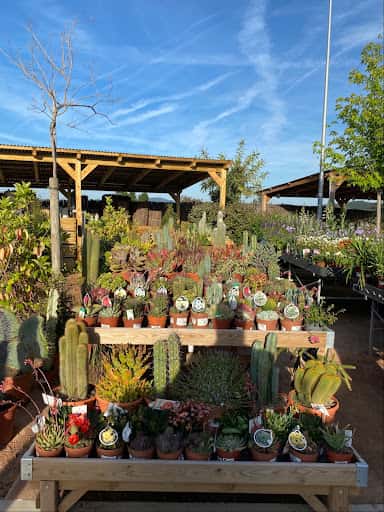 Elia Garden en Sant Cugat: plantas, decoración y jardinería