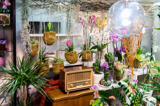 Plantas exóticas y terrarios en El Jardín de Juan XXIII