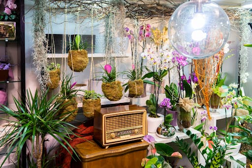 Plantas exóticas y terrarios en El Jardín de Juan XXIII