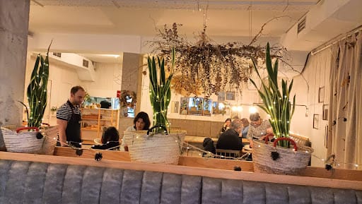 Pacífico: plantas exóticas y café de especialidad en Ourense