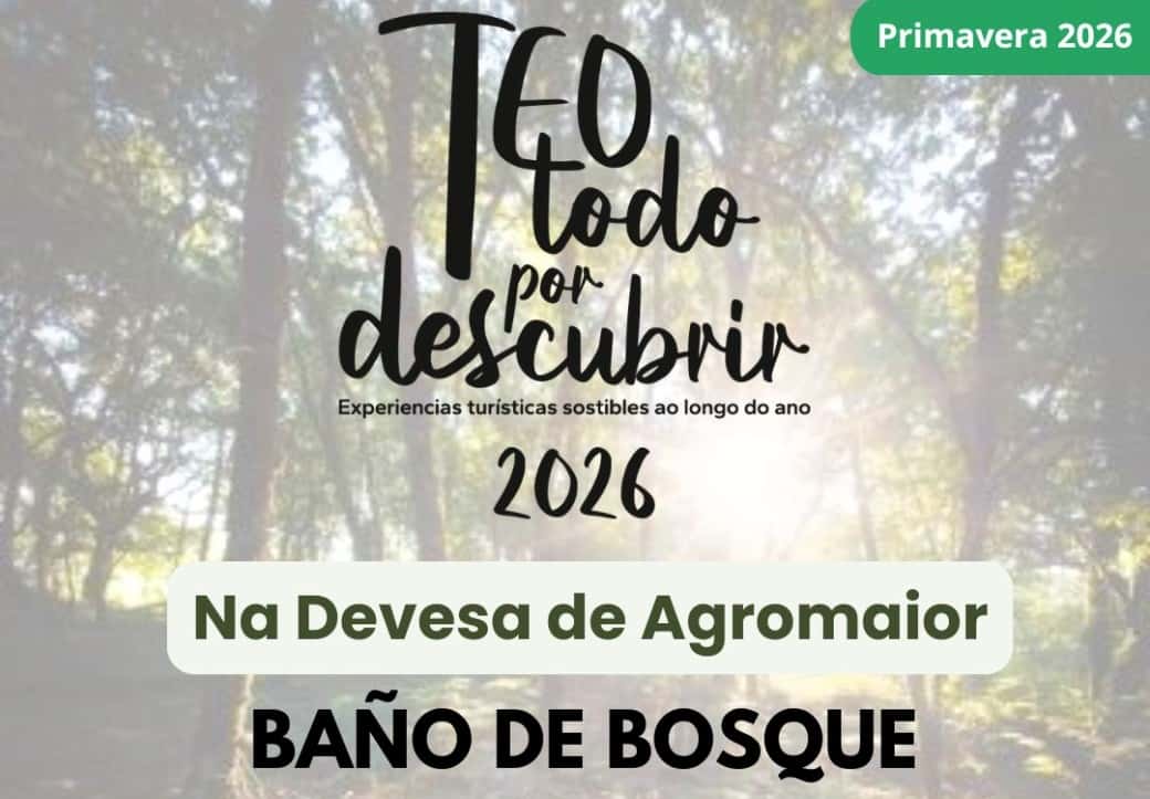 Baños de bosque en Teo: desconexión a un paso de Santiago