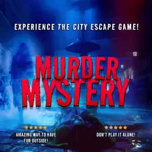 Brighton and Hove Murder Mystery: Death in the Shadows