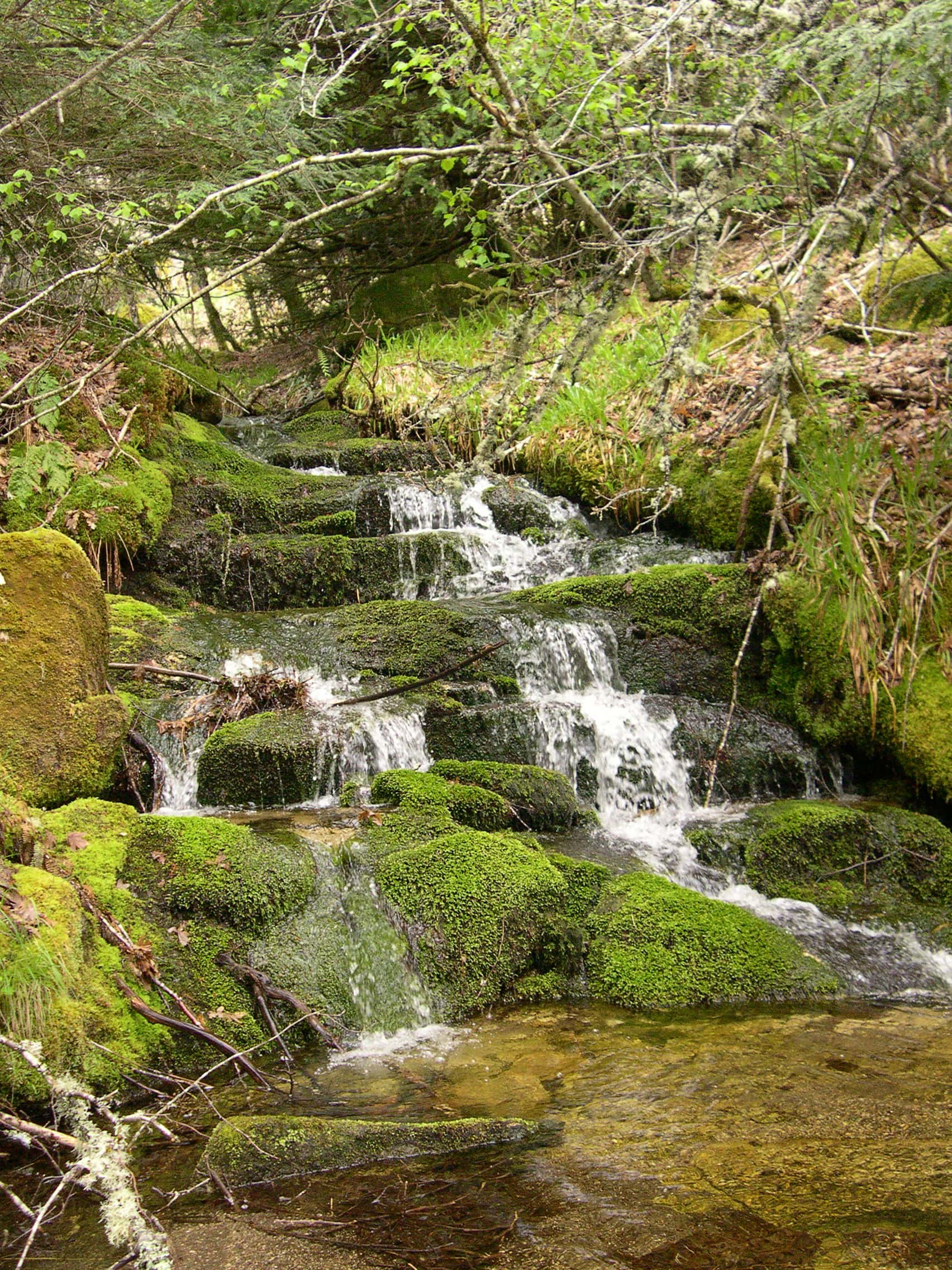 El Tejedelo de Sanabria: un bosque mágico en familia