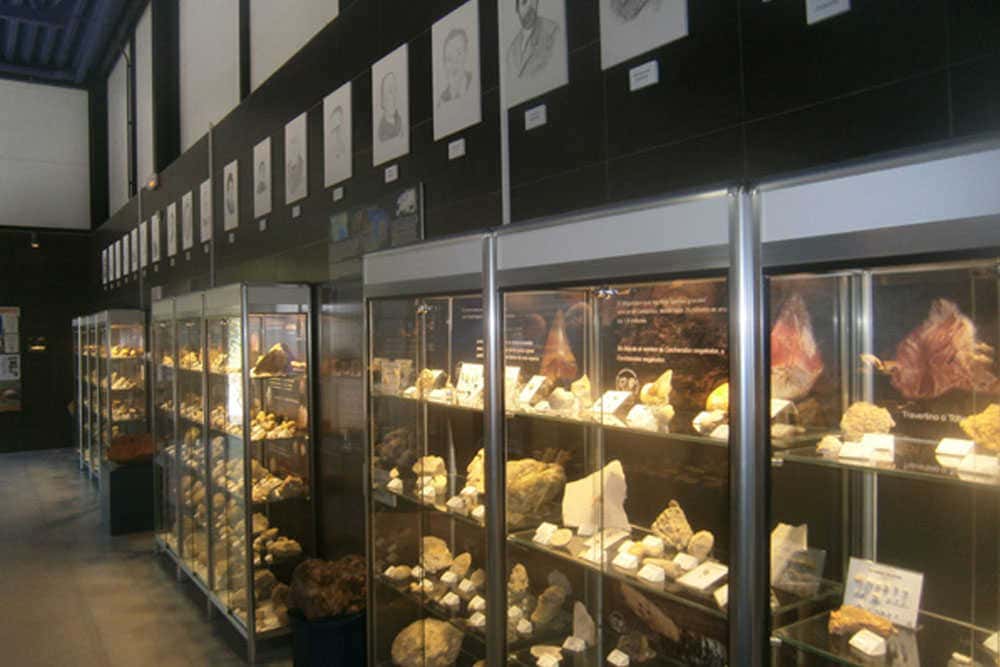 Isurus: el museo paleontológico del río Riquer