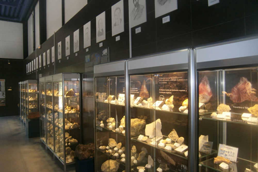 Isurus: el museo paleontológico del río Riquer