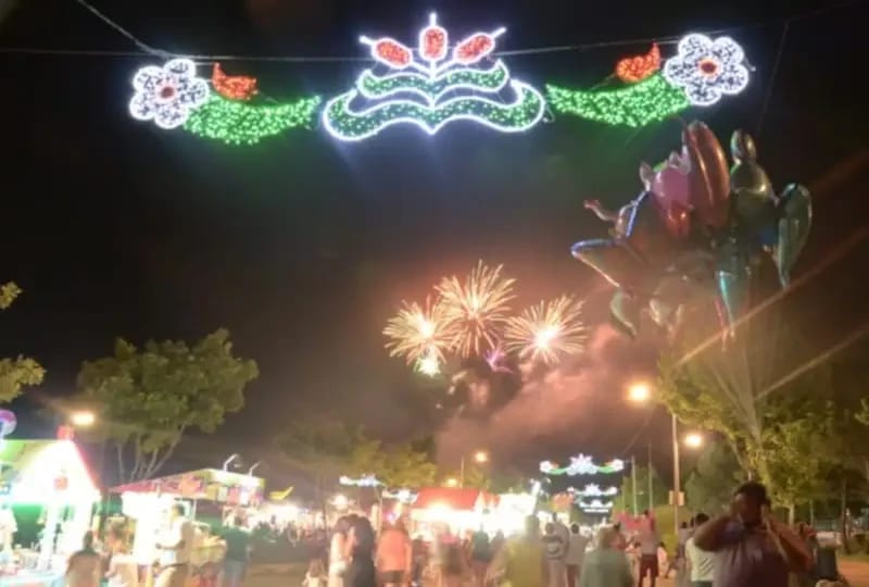 Fiestas de Villanueva de la Cañada: cartel y programa
