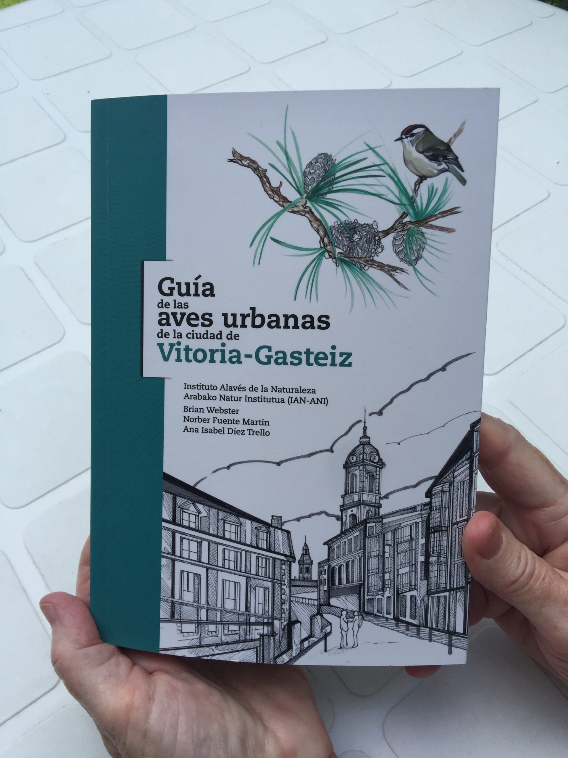 Recorrido naturalístico: Birdwatching