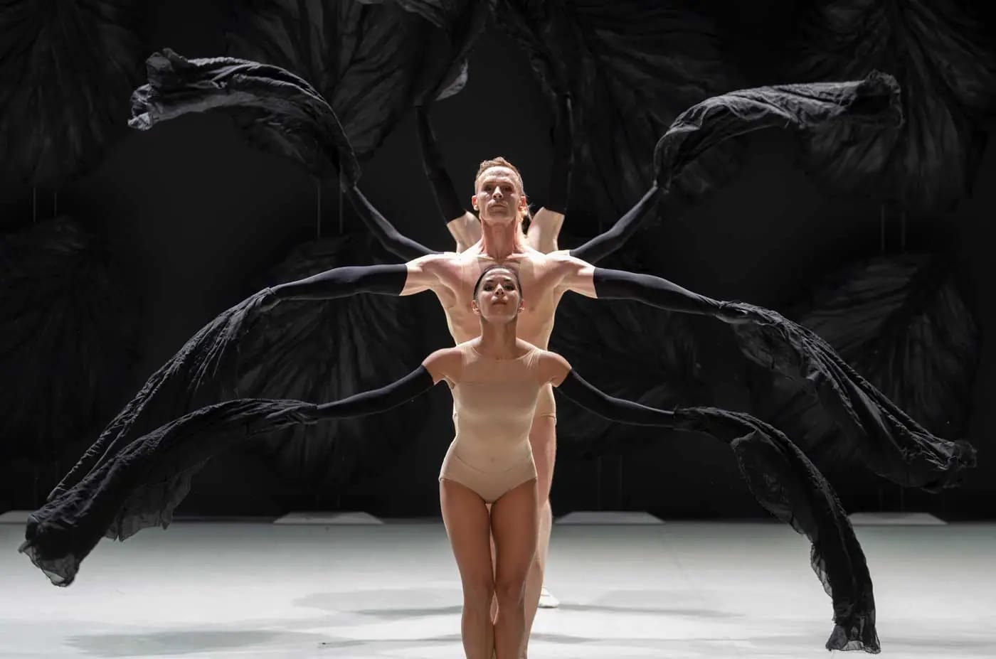 Malandain Ballet Biarritz: Les Saisons