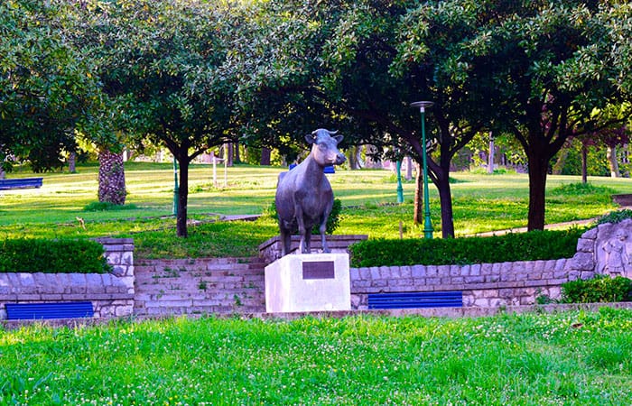 Safari nocturno en el Parque de la Vaca de Santander
