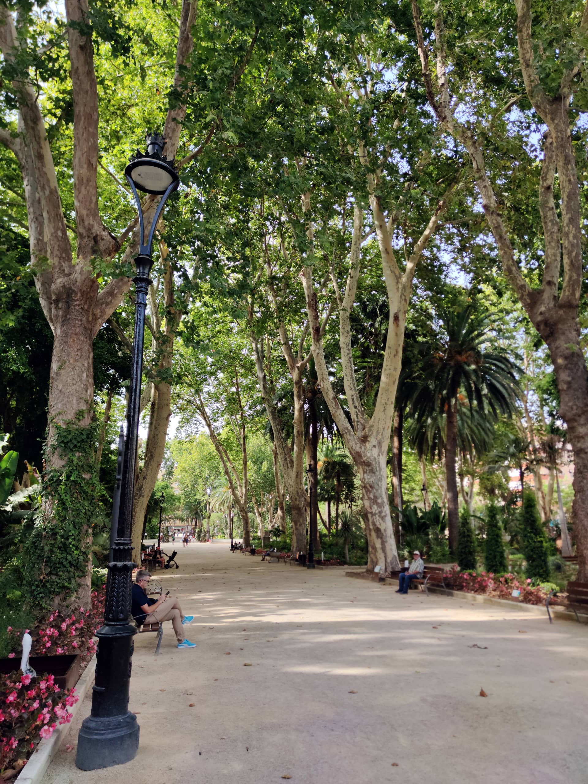 Noche de verano en familia en el Parque María Cristina