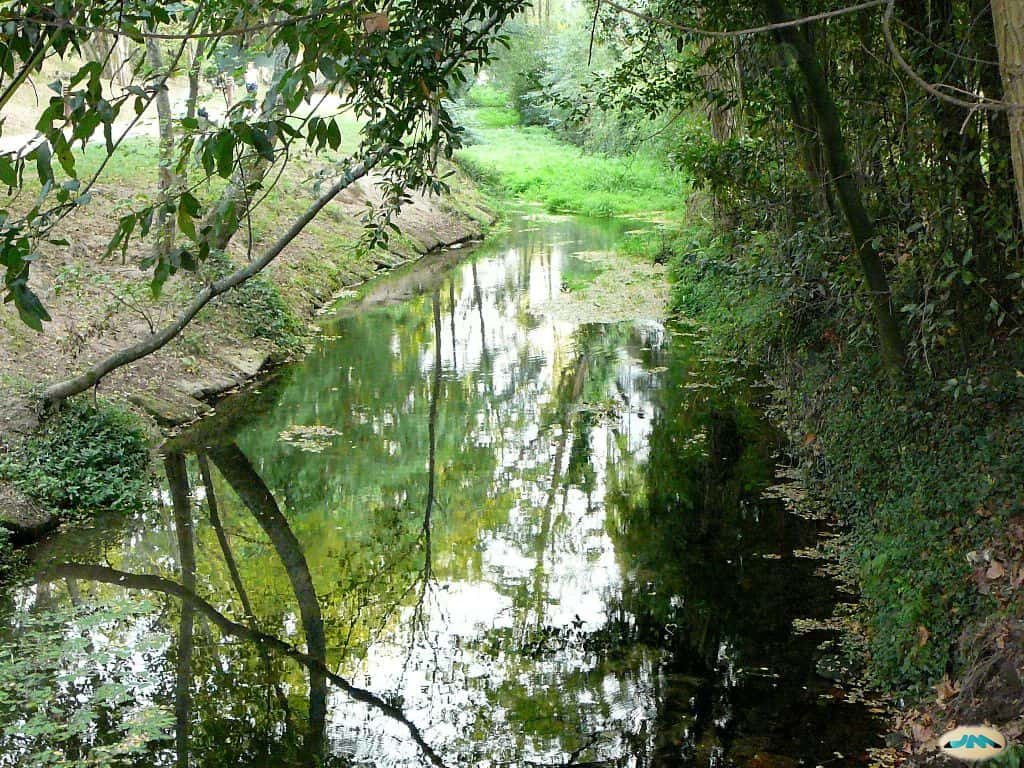 Ruta por el río Gafos: historia y naturaleza en Pontevedra