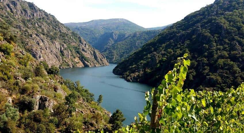 Guía de los trenes turísticos por Ribeira Sacra y Monterrei