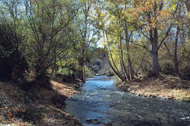 La Dehesa de Majadahonda: nuevo punto de observación de fauna