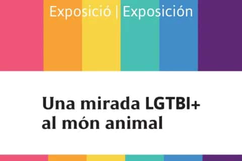 Una mirada LGTBI+ al món animal