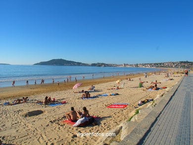 Escapada de altura: Cabañas en los árboles llegan a Nigrán