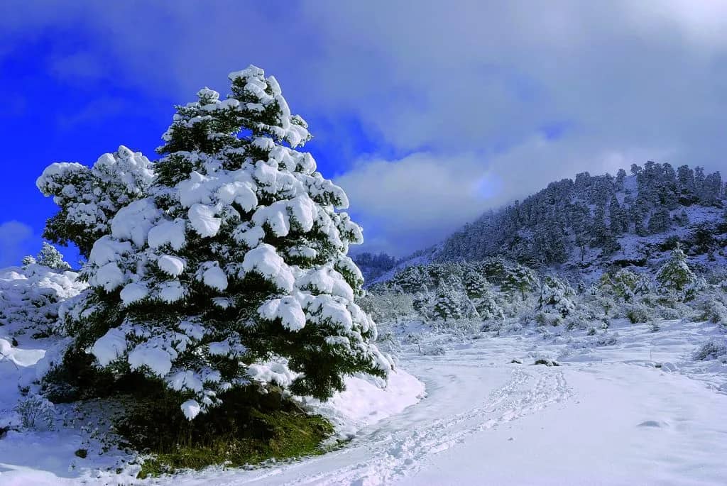 La Sierra de las Nieves estrena sello de ecoturismo