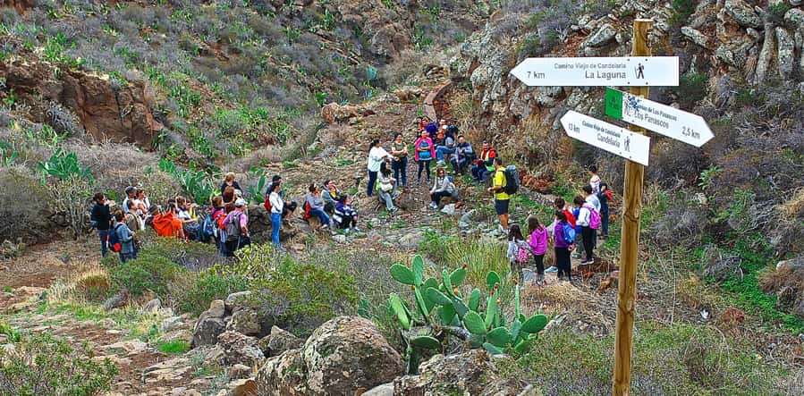 Caminando por la Vida: Ruta Camino a Candelaria desde Barranco Hondo - Nivel Medio