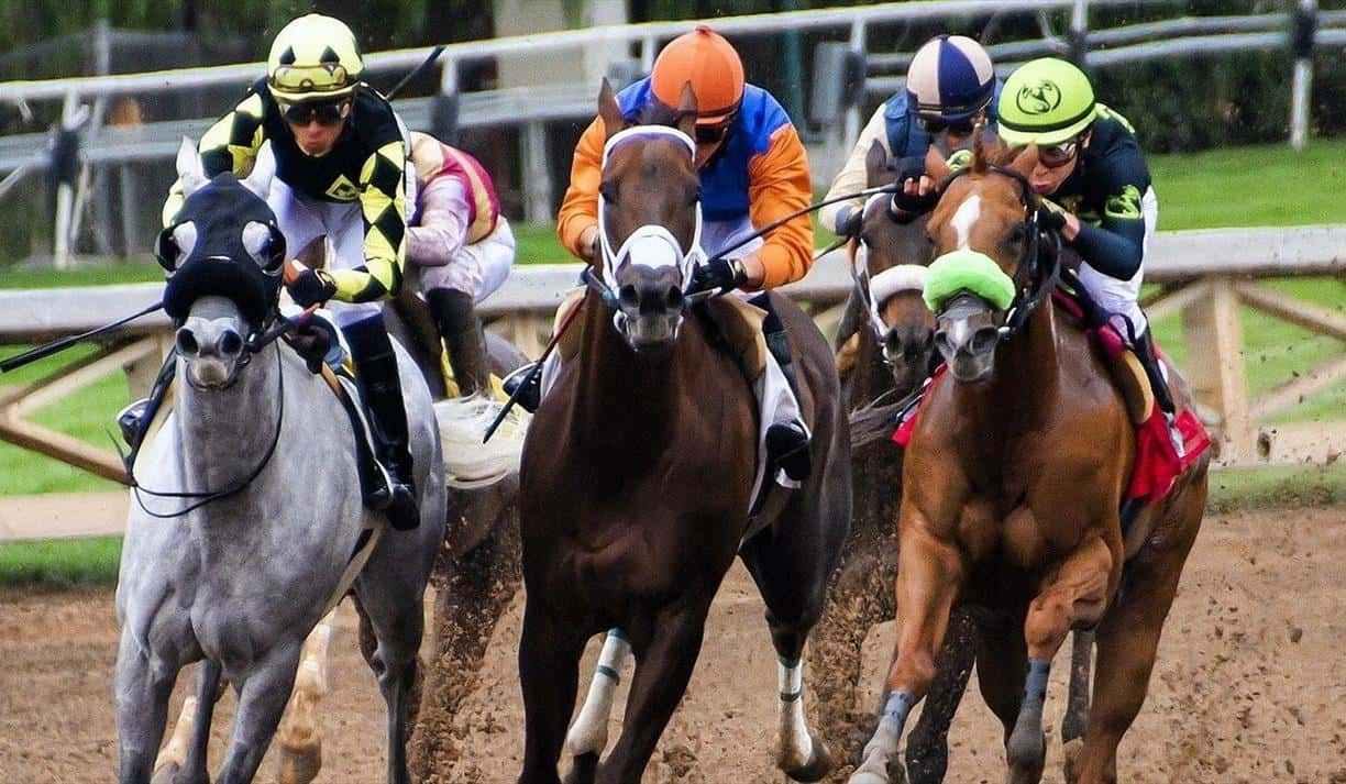 Evening Flat Racing Race Meeting