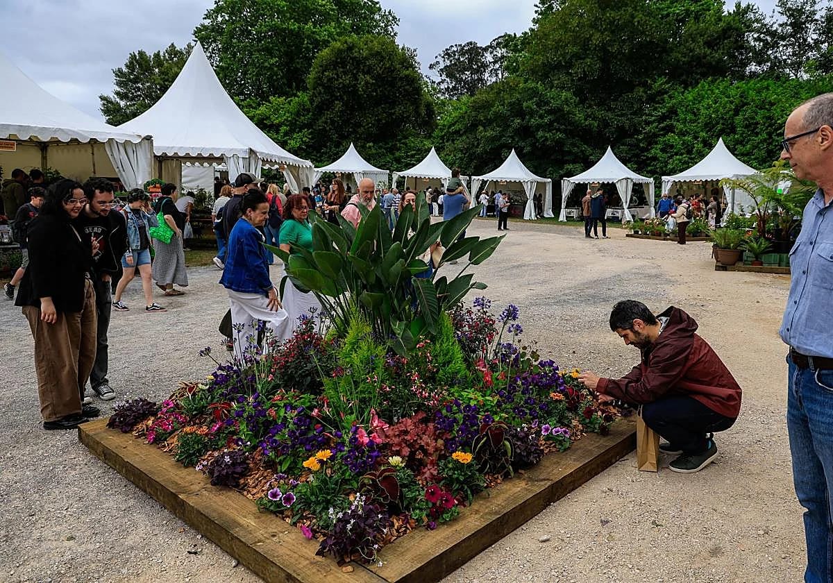 68 Simposio Anual de la Asociación Internacional para las Ciencias de la Vegetación