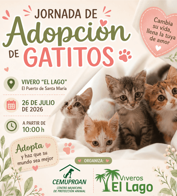 Jornada de adopción de gatitos