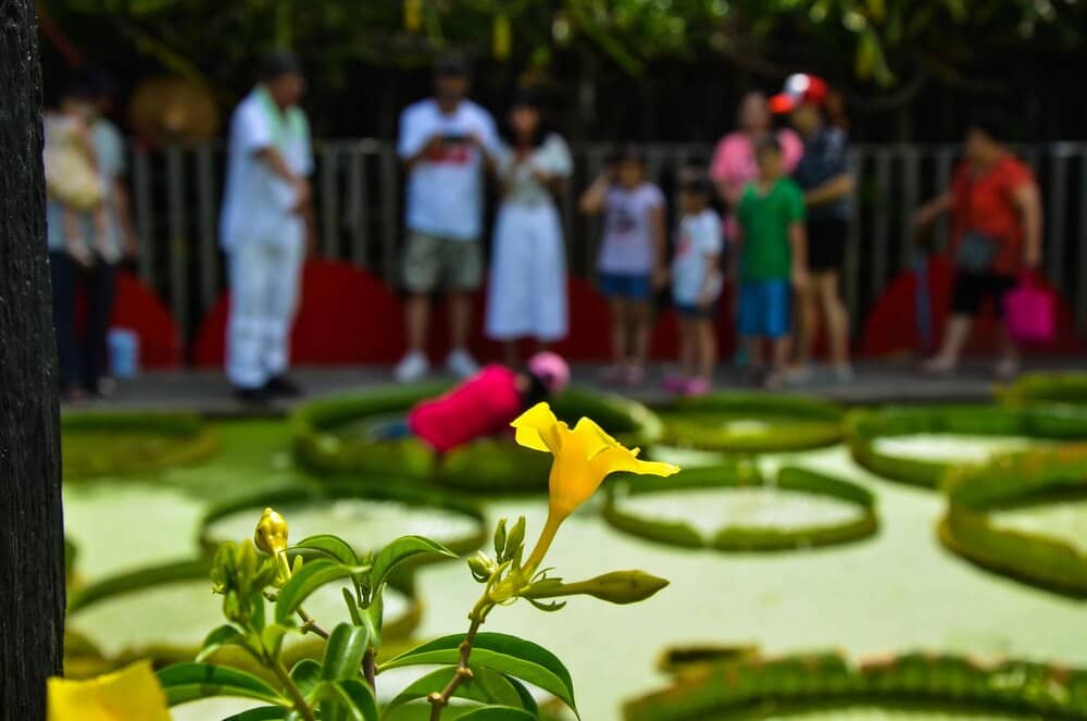 Verano cultural en el Jardín Botánico de Parla