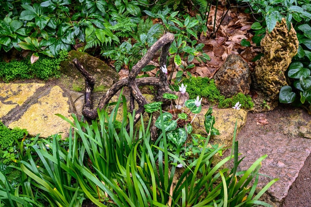Charla: Plantaciones naturalistas (I Feria de Plantas JBA)