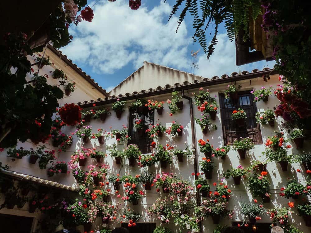 El Embrujo de los Patios: flamenco en los patios