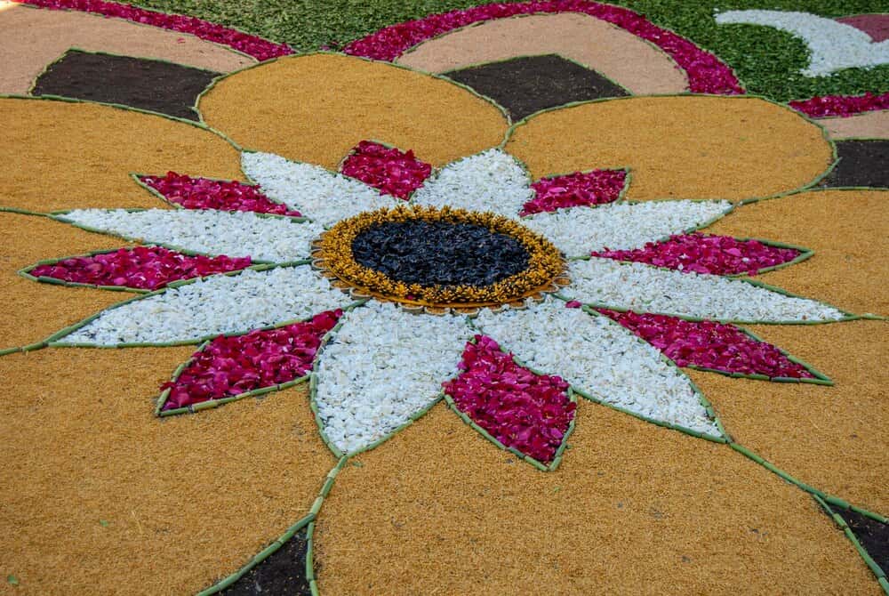 Guía para ver las alfombras florales de Ares