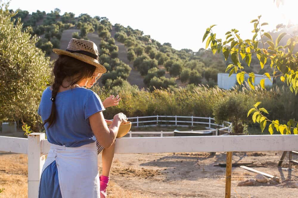 La ruta del melocotón catalán: escapadas de verano