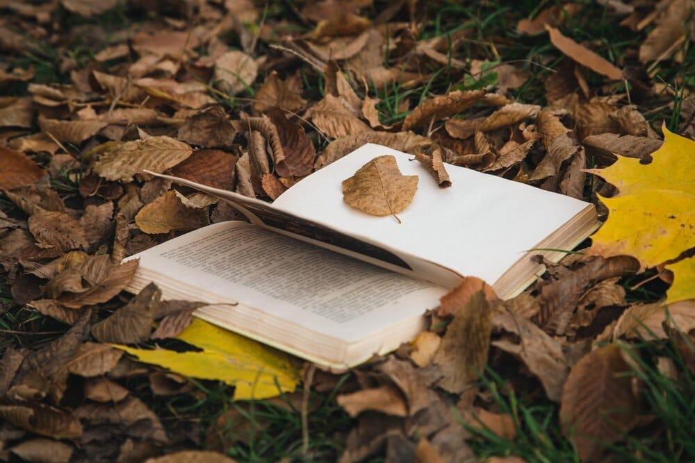 La naturaleza en la literatura inglesa