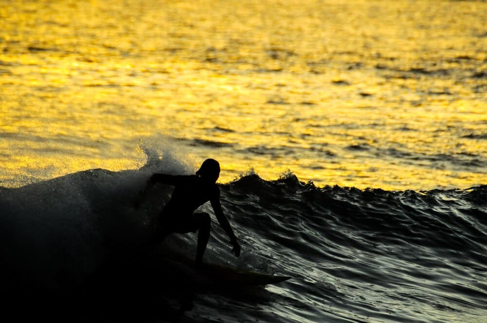 Waves Congress: el primer congreso de surf de Tenerife