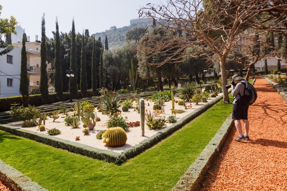 Redescubre el renovado Jardín del Posío