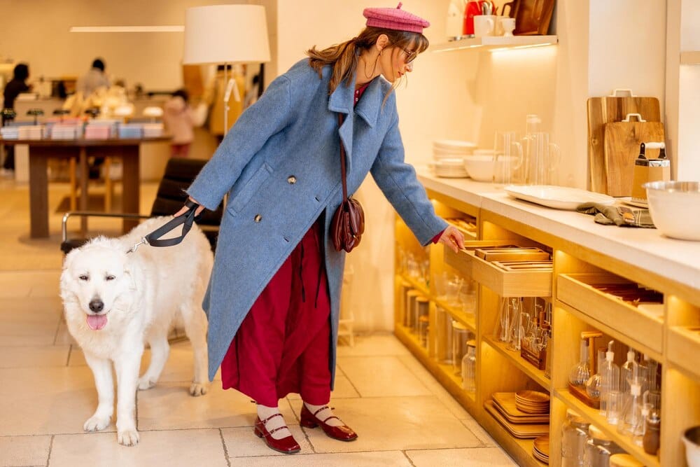 Ruta dog-friendly en Oviedo: tiendas premium y ocio