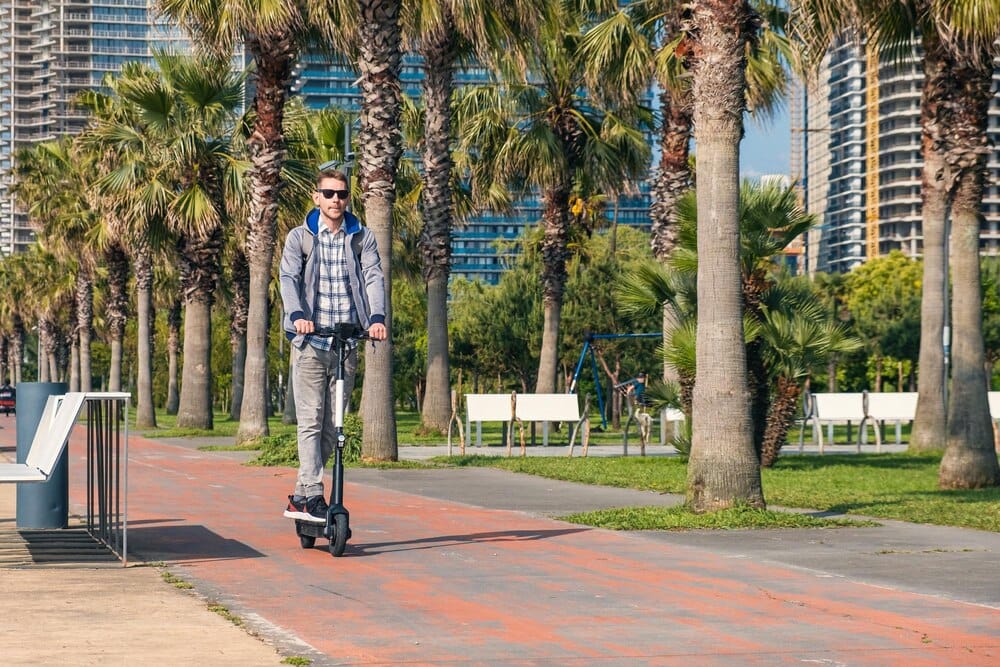 Calesas eléctricas en Palma: paseos sostenibles por el centro