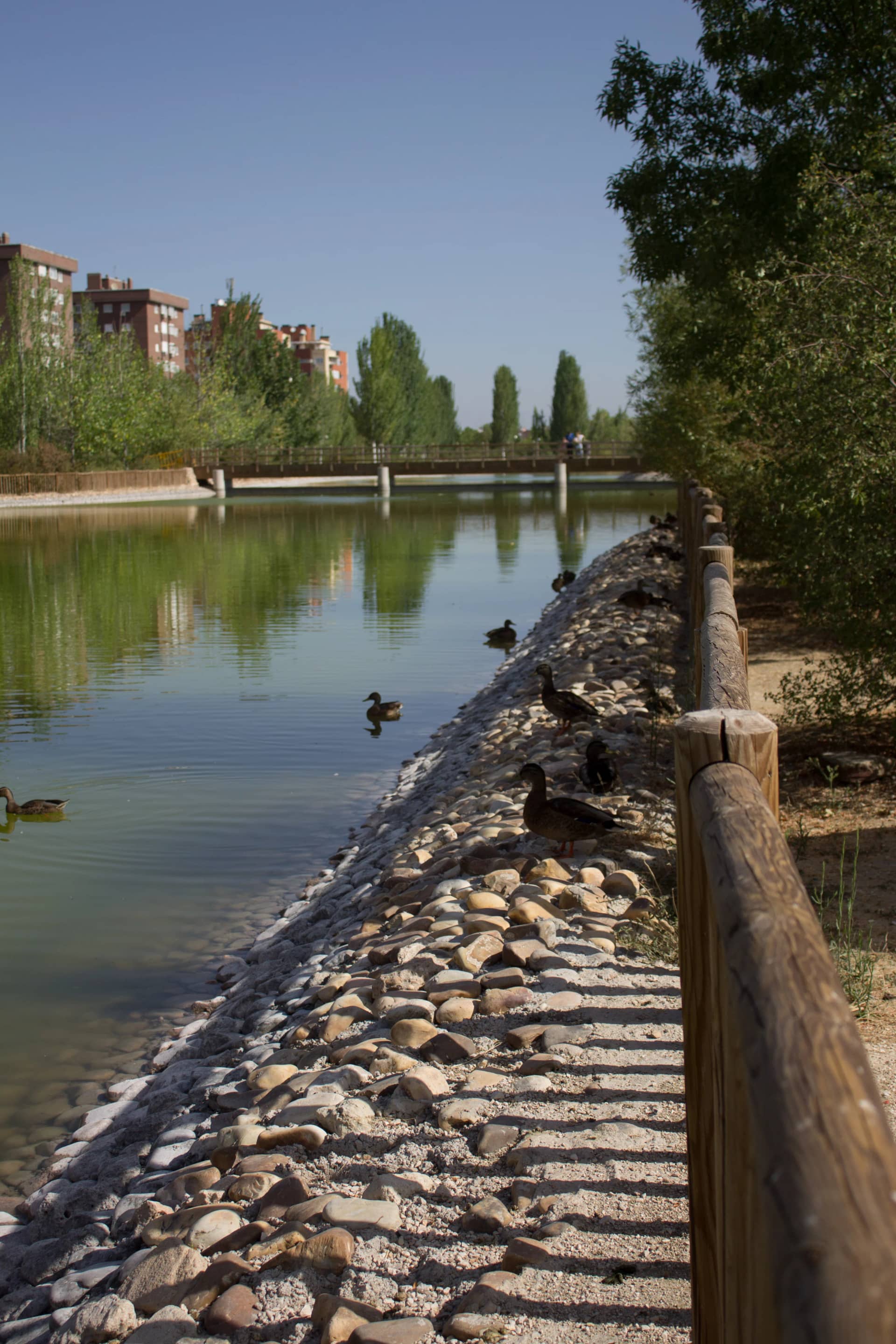 Parque del Lago de Loranca