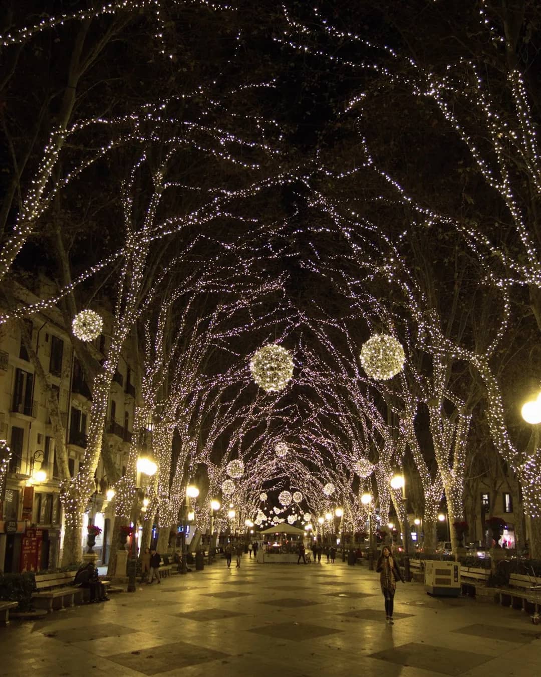 Passeig del Born