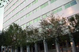 Taller 'Grup obert de l'hort'