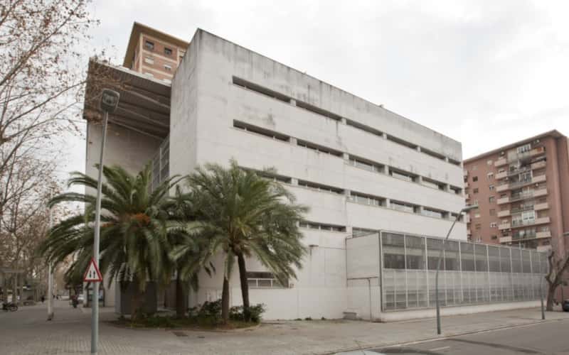 Taller infantil 'La dansa ens connecta'