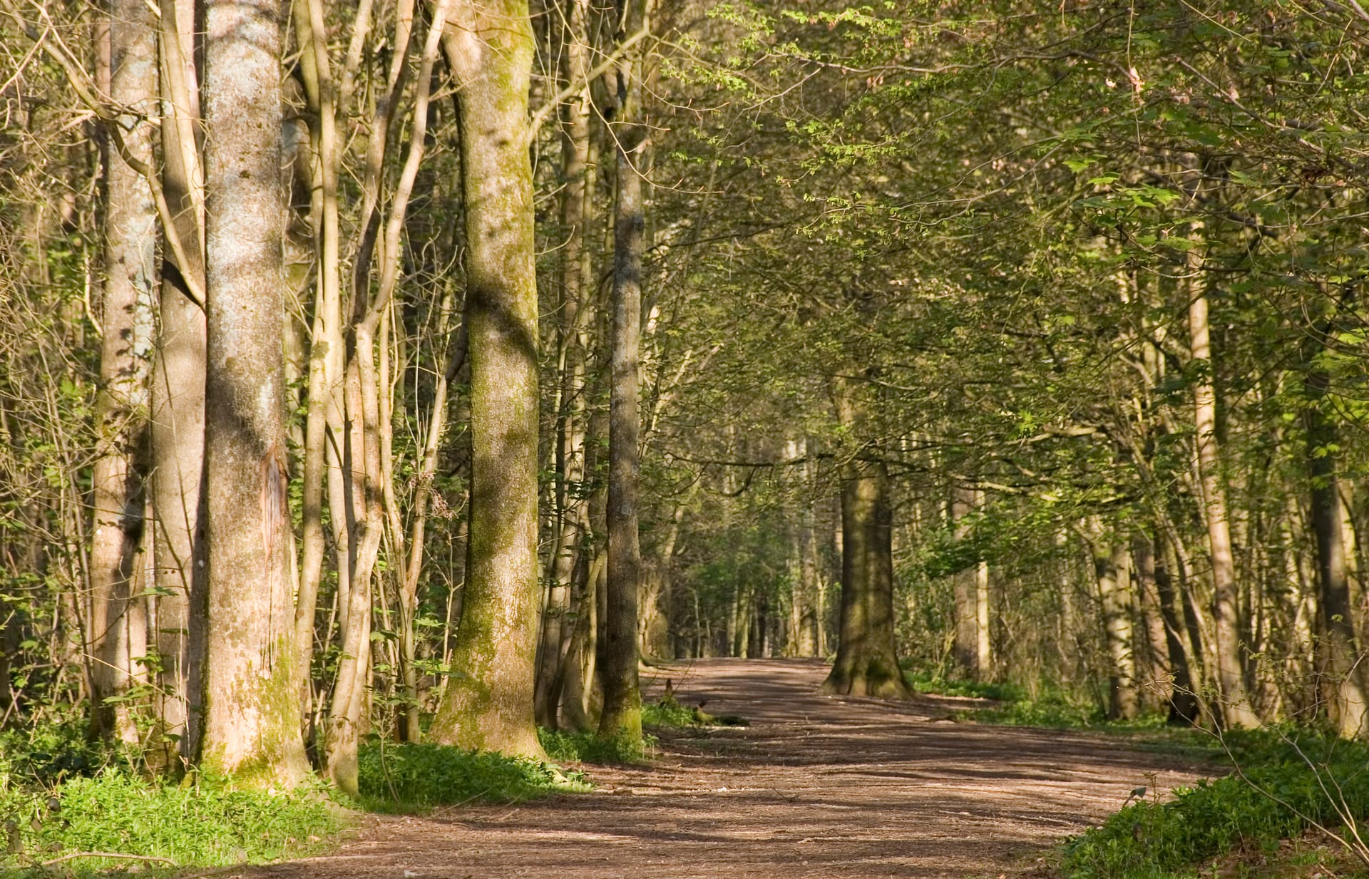 Brighton Trail Marathon