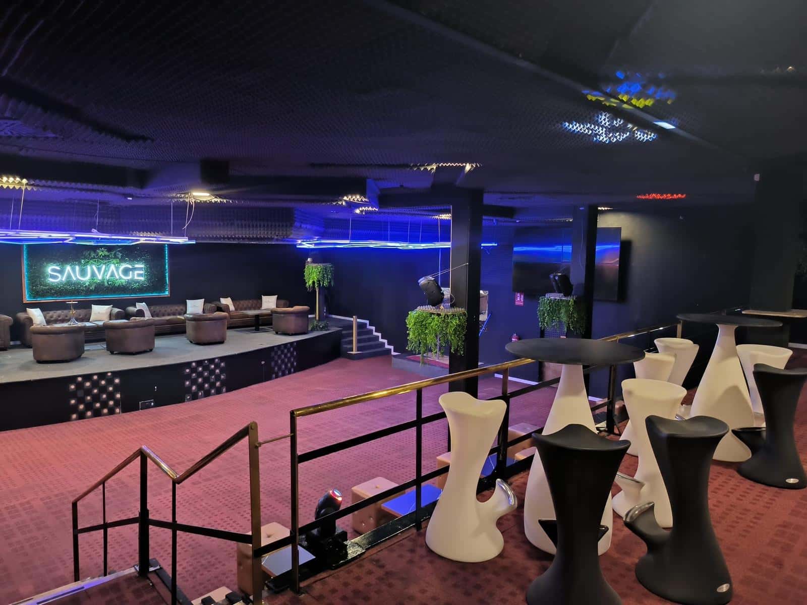 Fraderita en Club Sauvage