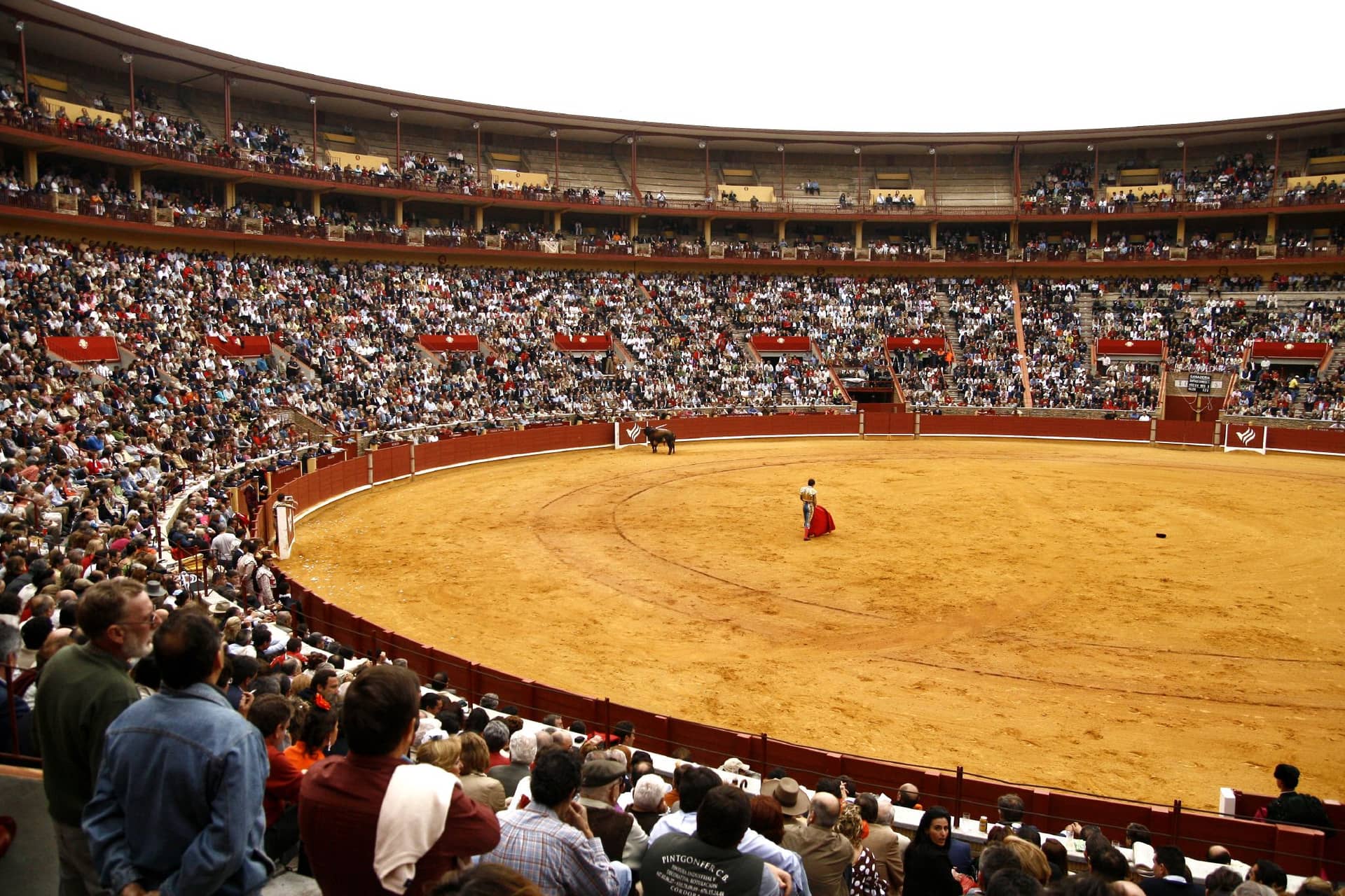 Plaza de Toros de Los Califas
